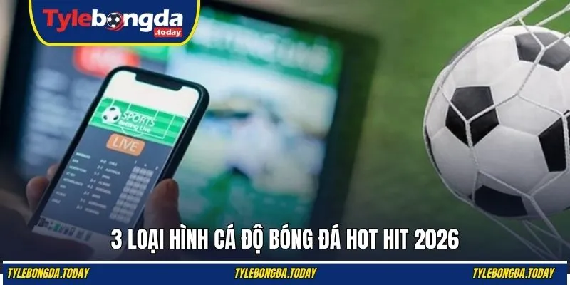 3 loại hình cá độ bóng đá hot hit 2026