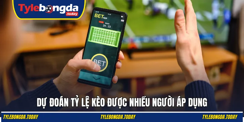 Dự đoán tỷ lệ kèo được nhiều người áp dụng