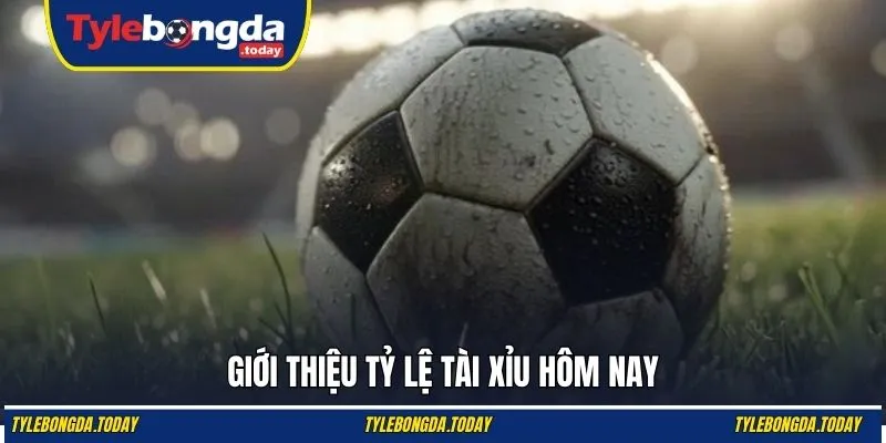 Giới thiệu kèo tài xỉu