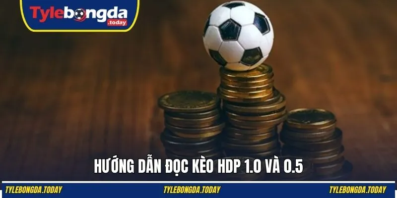 Hướng dẫn đọc kèo HDP 1.0 và 0.5
