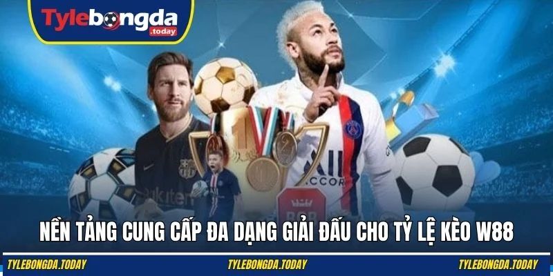 Nền tảng cung cấp đa dạng giải đấu cho tỷ lệ kèo W88