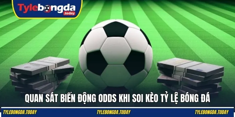 Quan sát biến động odds khi soi kèo tỷ lệ bóng đá