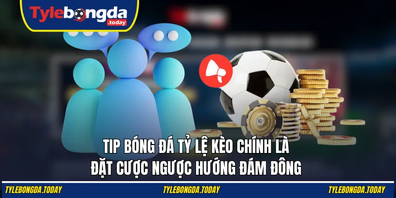 Tip bóng đá tỷ lệ kèo chính là đặt cược ngược hướng đám đông