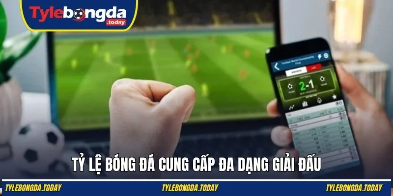 Tỷ lệ bóng đá cung cấp đa dạng giải đấu