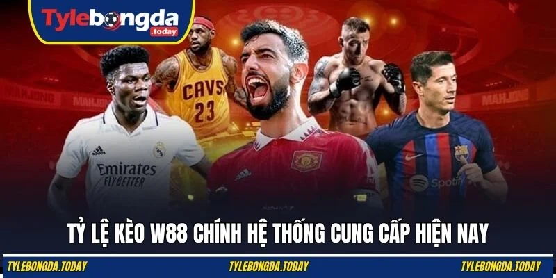 Tỷ lệ kèo W88 chính hệ thống cung cấp hiện nay