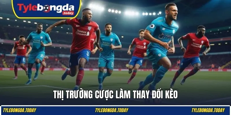 Yếu tố thị trường ảnh hưởng đến kèo